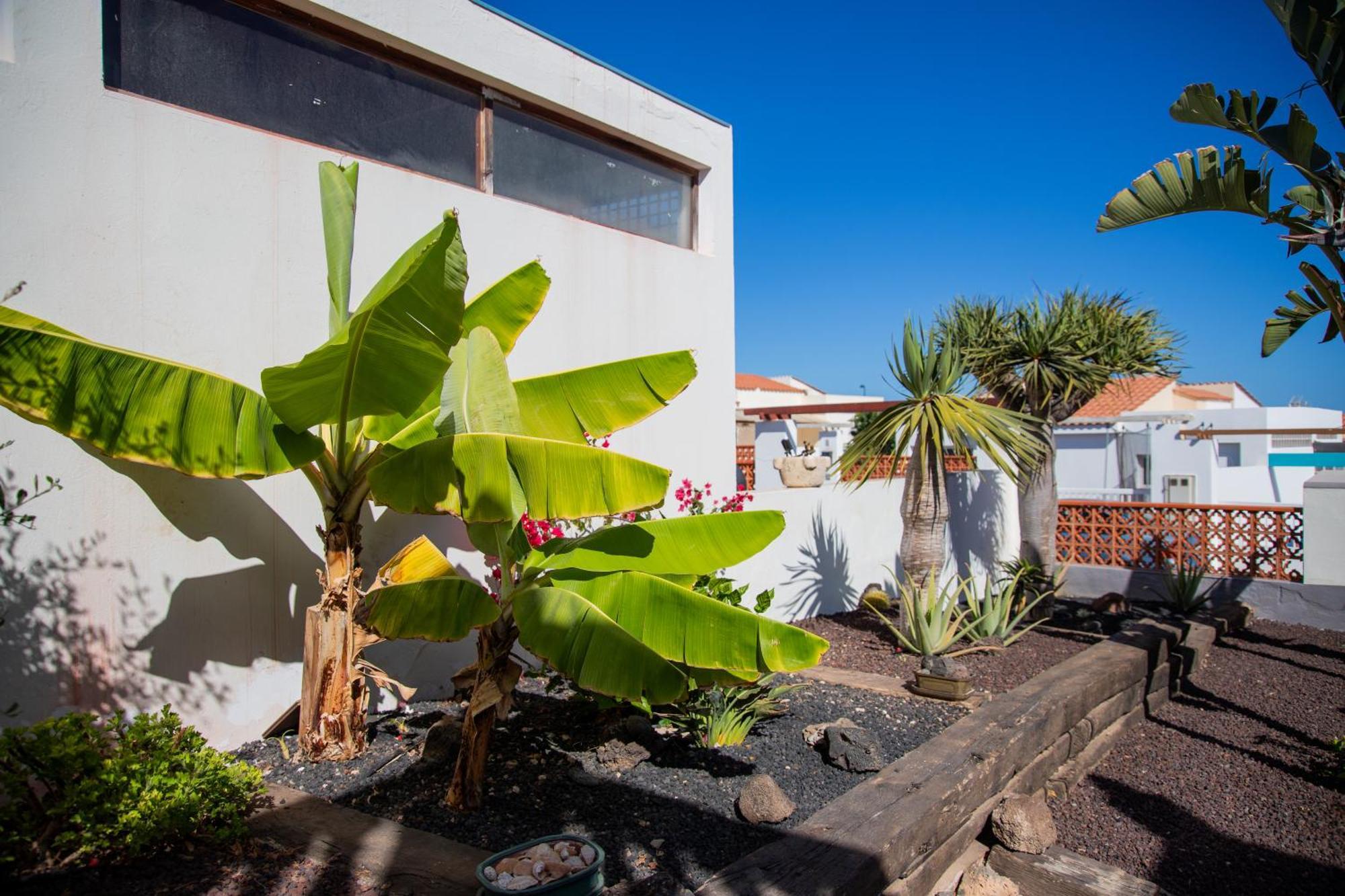 Casa Las Palmeras Parque Holandes Exterior foto